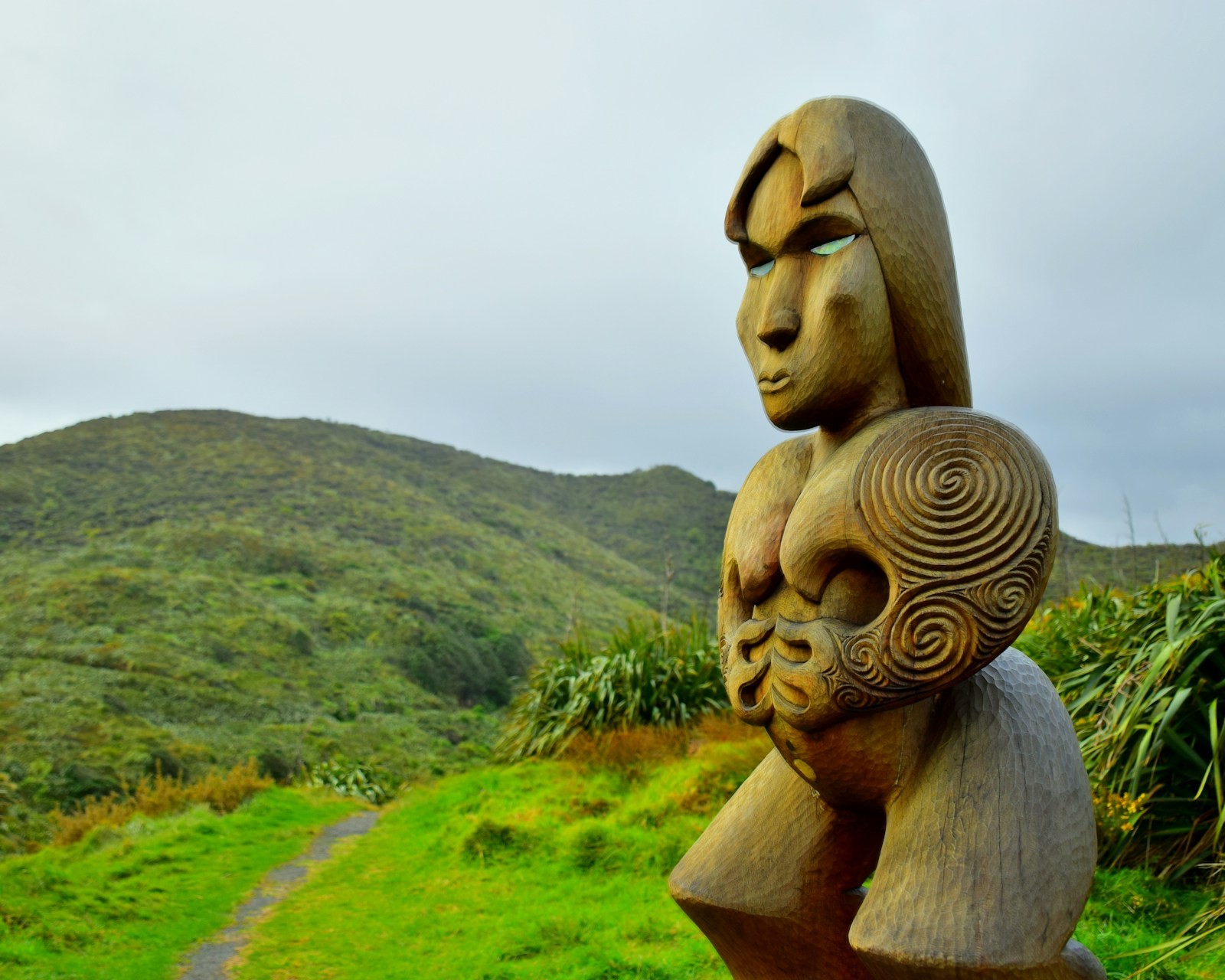 New Zealand - Land of the Kiwis