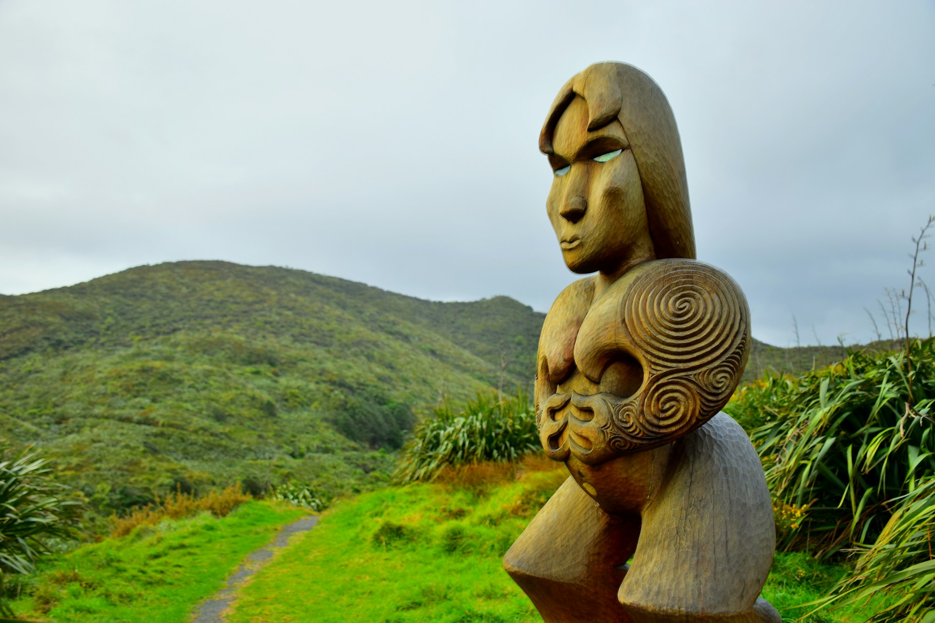 New Zealand - Land of the Kiwis